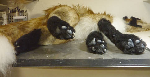 FOX feet WIP 001