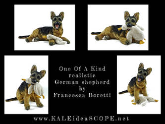 German shepherd puppy ULF