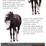 Horse Hair Tutorial