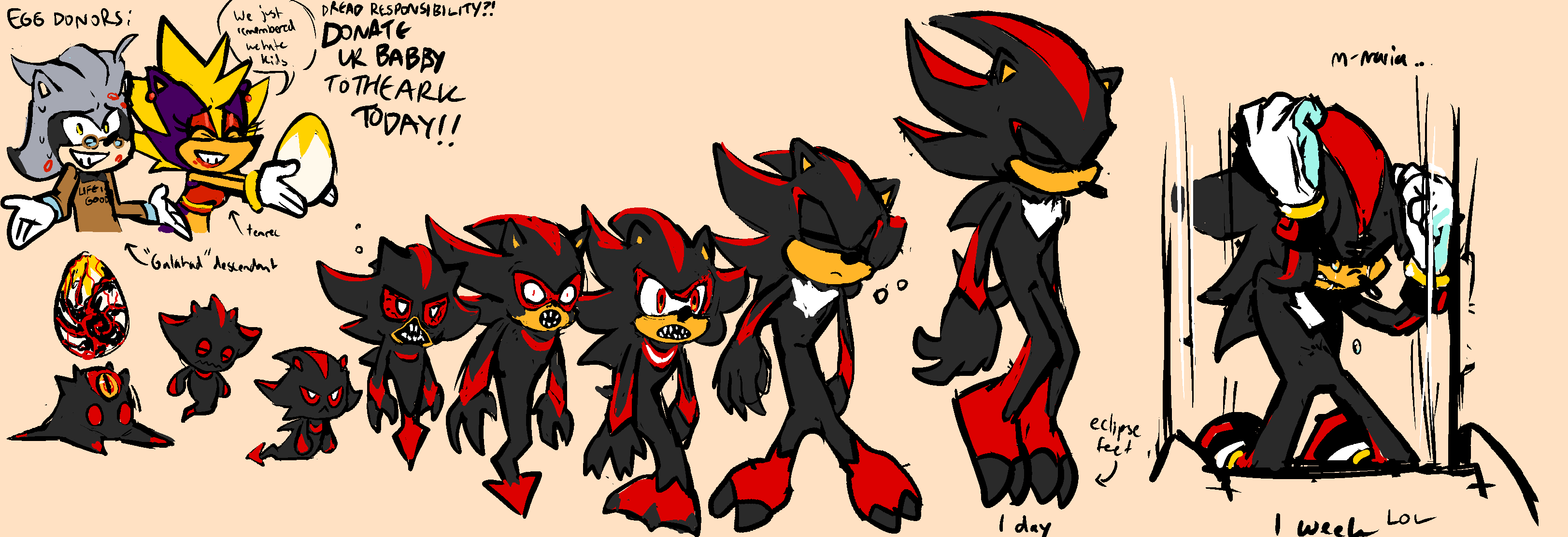 Sonic x Shadow by Mickeymonster on DeviantArt