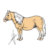Cheddar