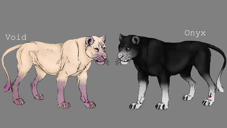 Lionesses adoptables