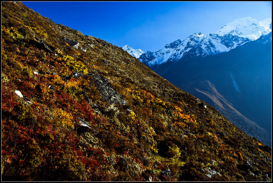 Colors of the high Himalayas by yuvi2 on DeviantArt