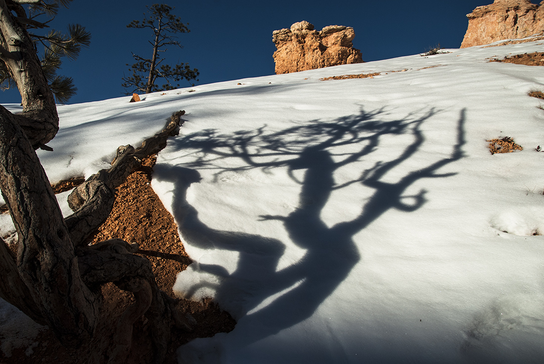 Menacing Shadow