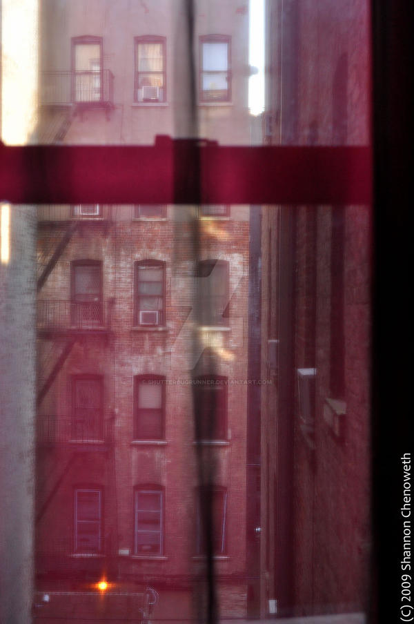 NY Window 9