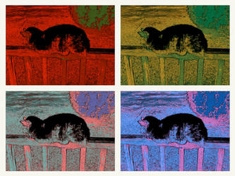 Warhol Cat