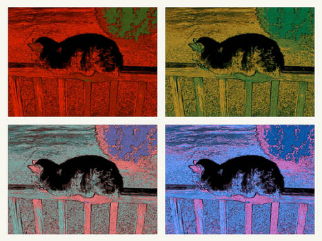 Warhol Cat