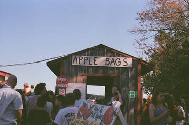 Apple Bags