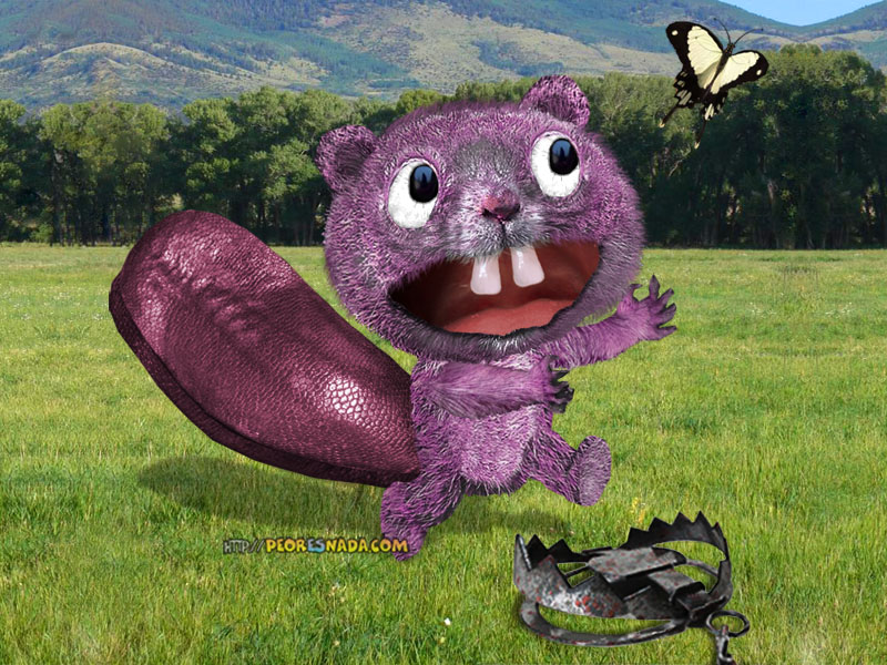 Real TOOTHY - Untooned HTF by PeorEsNada-com on DeviantArt