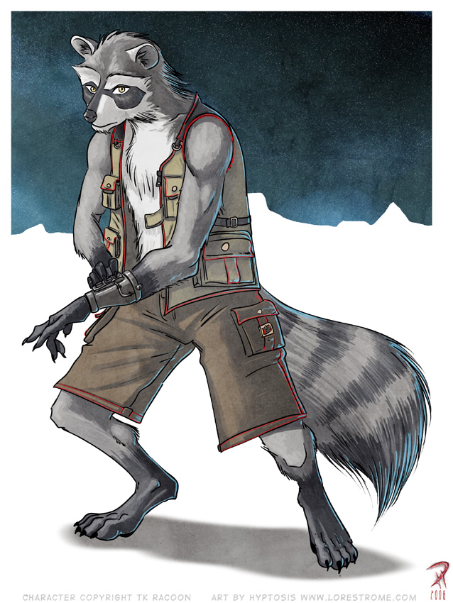 TK Raccoon Commission