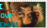 Stamp- Sanford's Lemur male