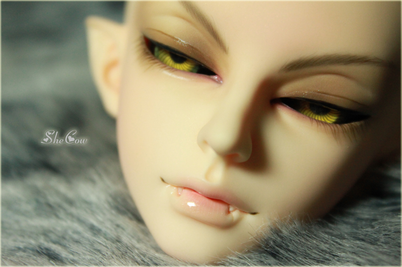 Aramir_face up