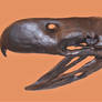 Paraphysornis brasilinsis Skull stock