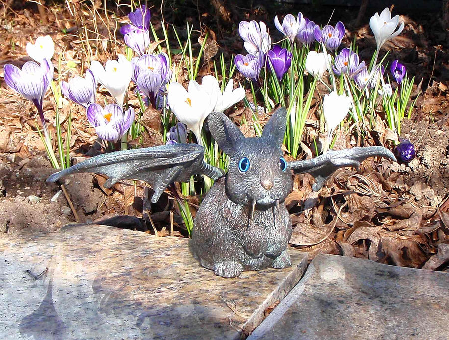 Vampire Bunny with Crocus