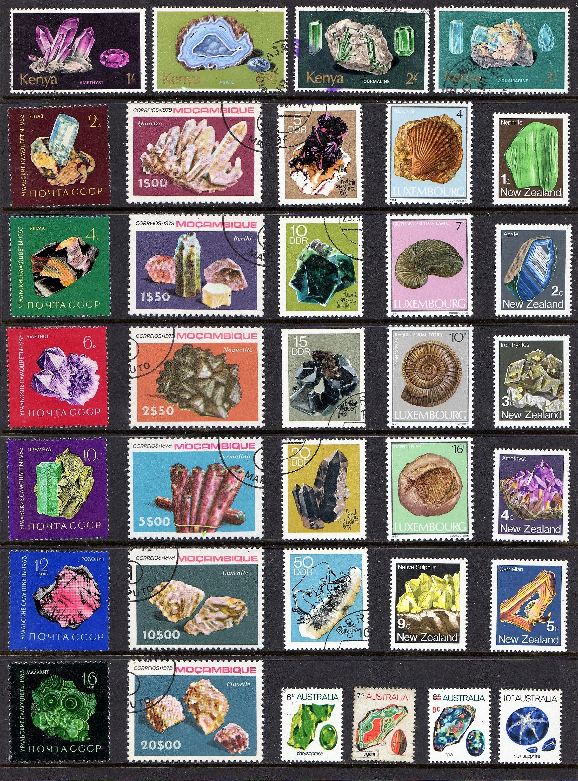 Paleo Stamp Collection 6