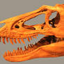 Jane the Nanotyrannus Stock