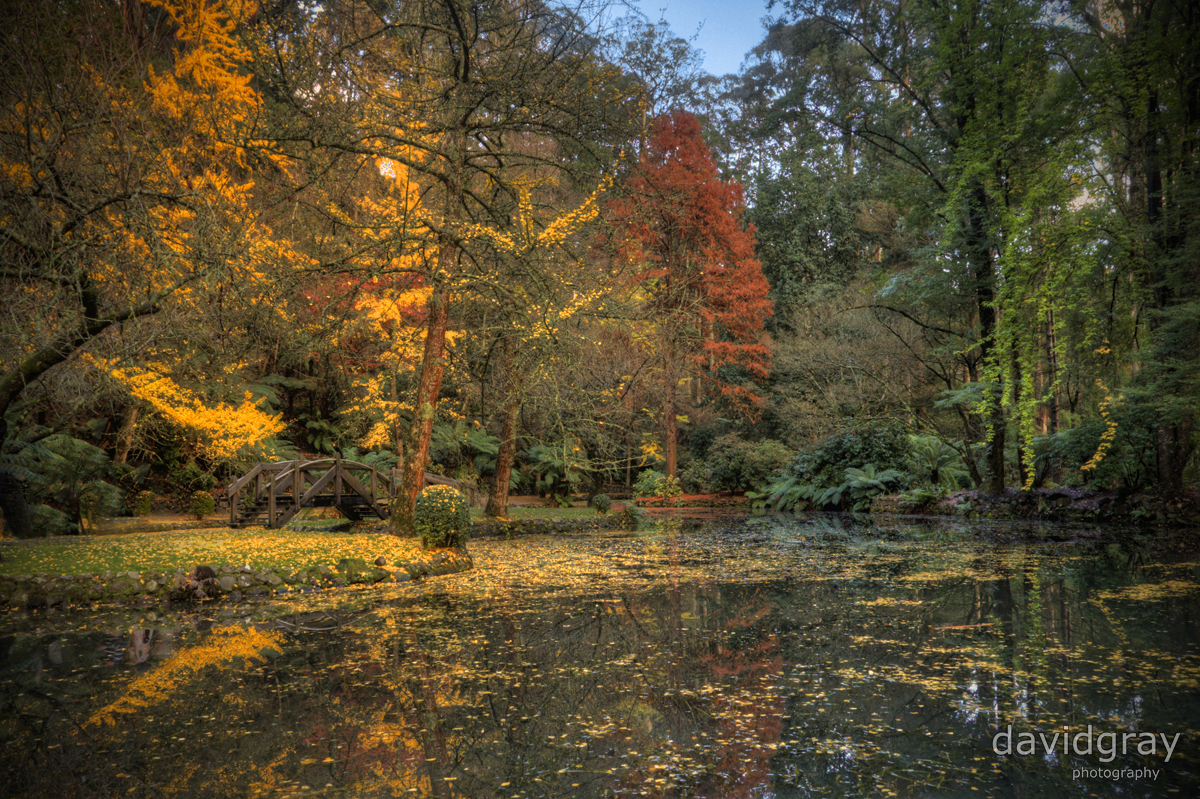 Alfred Nicholas Memorial Gardens VI