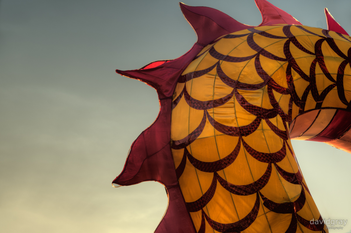 The Dragon by Grayda