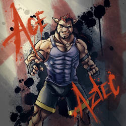 Character Portrait - Ace