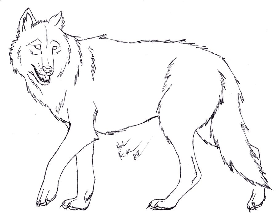 Basic Wolf Lineart Wolf Lineart - FREE by The-Bone-Snatcher on DeviantArt
