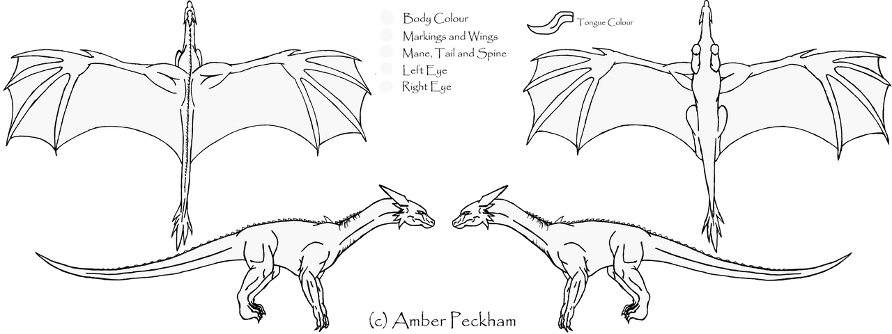 Dragon Reference Sheet - MS Paint Friendly by The-Bone-Snatcher on