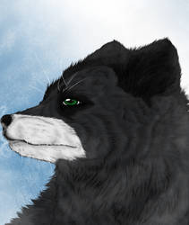 Dark-Arctic-Fox Kiriban prize