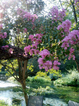 Summer flower tree