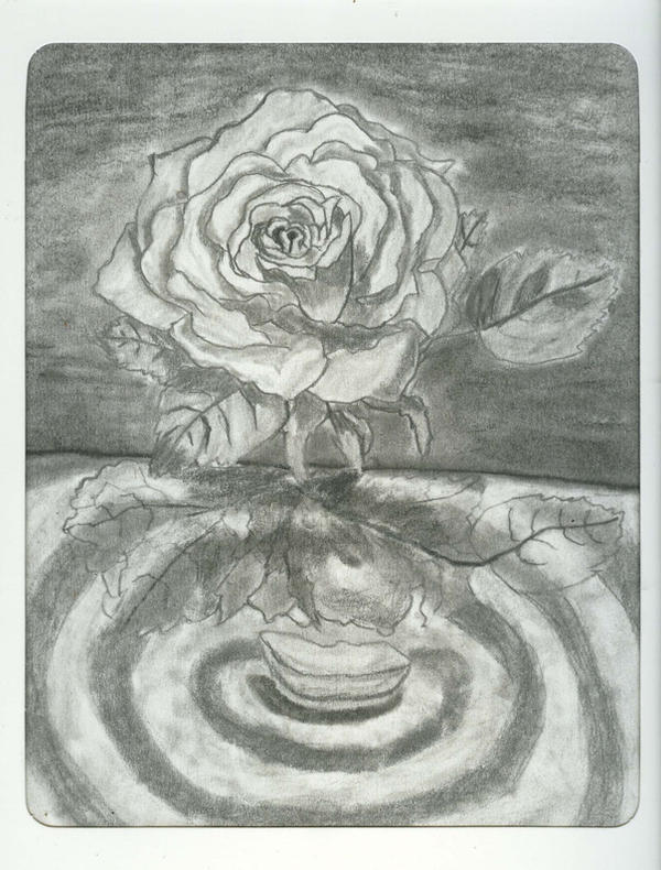 A Rose by Wandera89 on DeviantArt