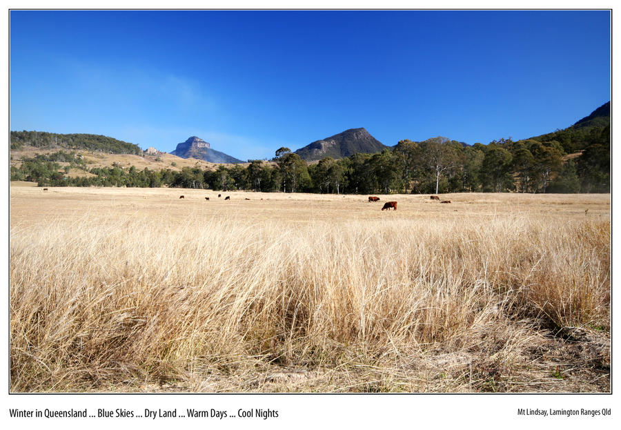 220 - Winter in Queensland