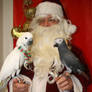 Santa and birds2