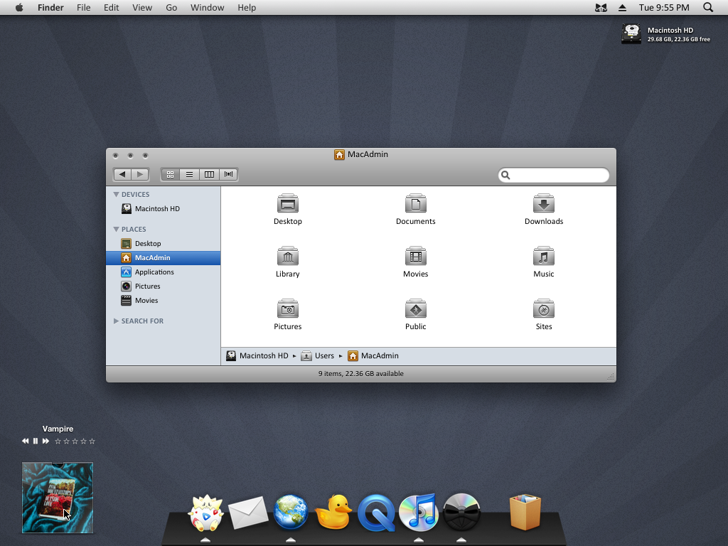 First Leopard Screenie-VMWare