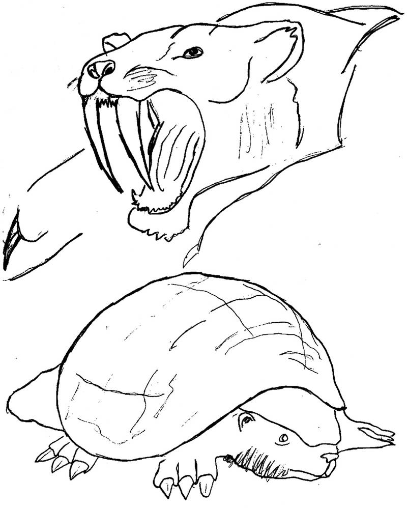 prehistoric mammals by matteo-11 on DeviantArt