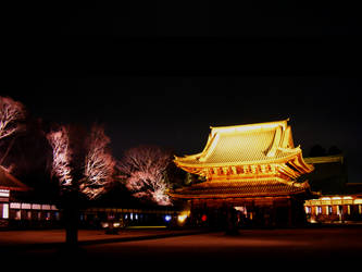 Zuiryuu-ji Temple10