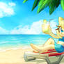 Fun in the sun (summer time beach)
