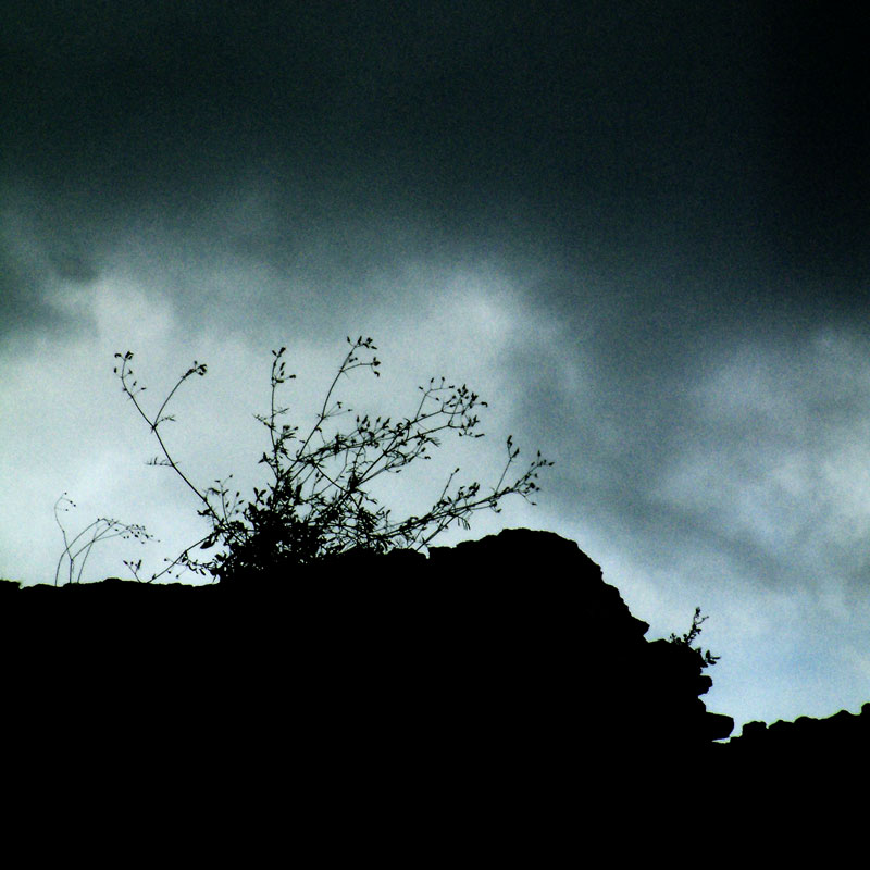 storm at the Forum