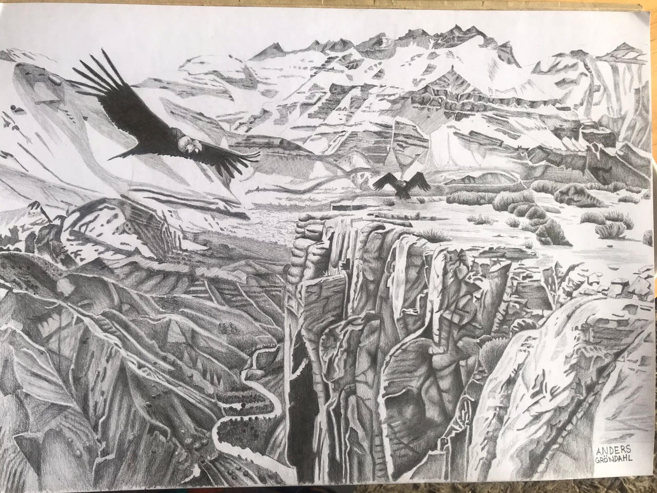 Condor Drawing In Flight Drawing Condor by Andraw-Art on DeviantArt
