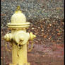 Yellow Hydrant