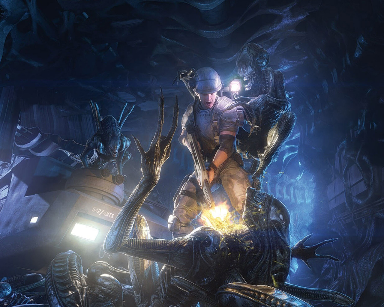 Aliens Modb Aliens : Colonial Marines by grisador on DeviantArt