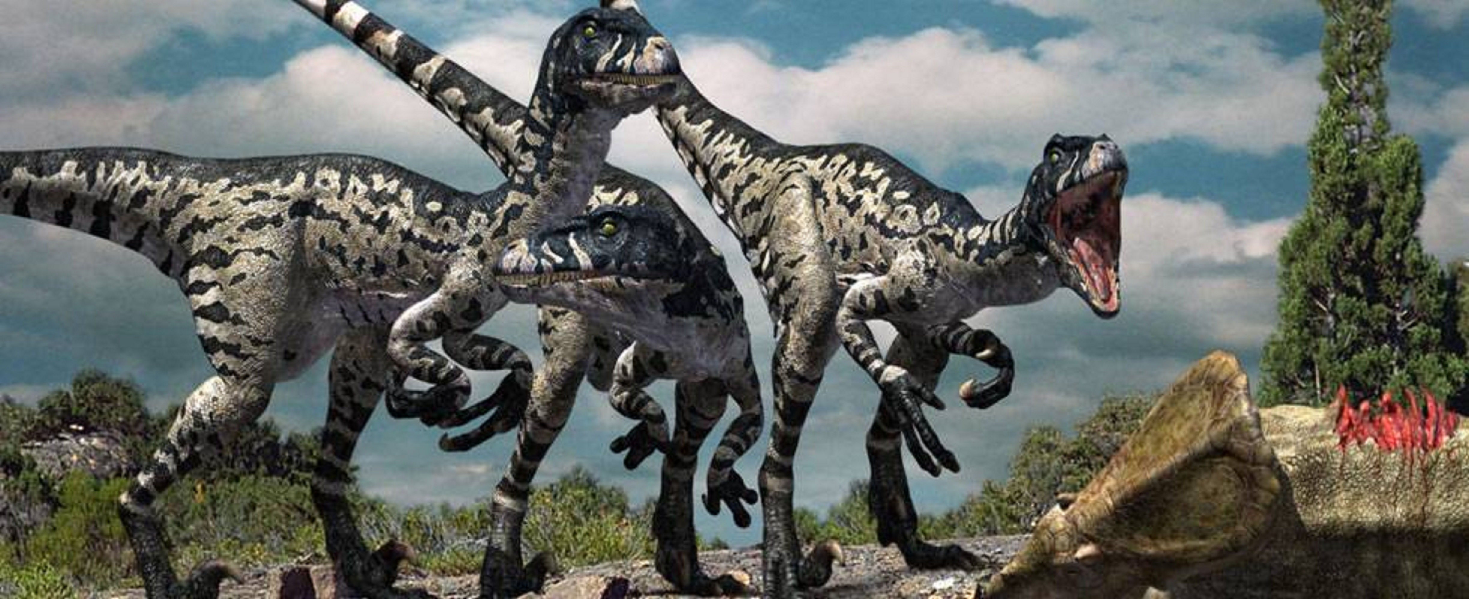 Dromaeosaurus ! by grisador