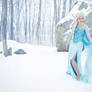Elsa | Snow Queen