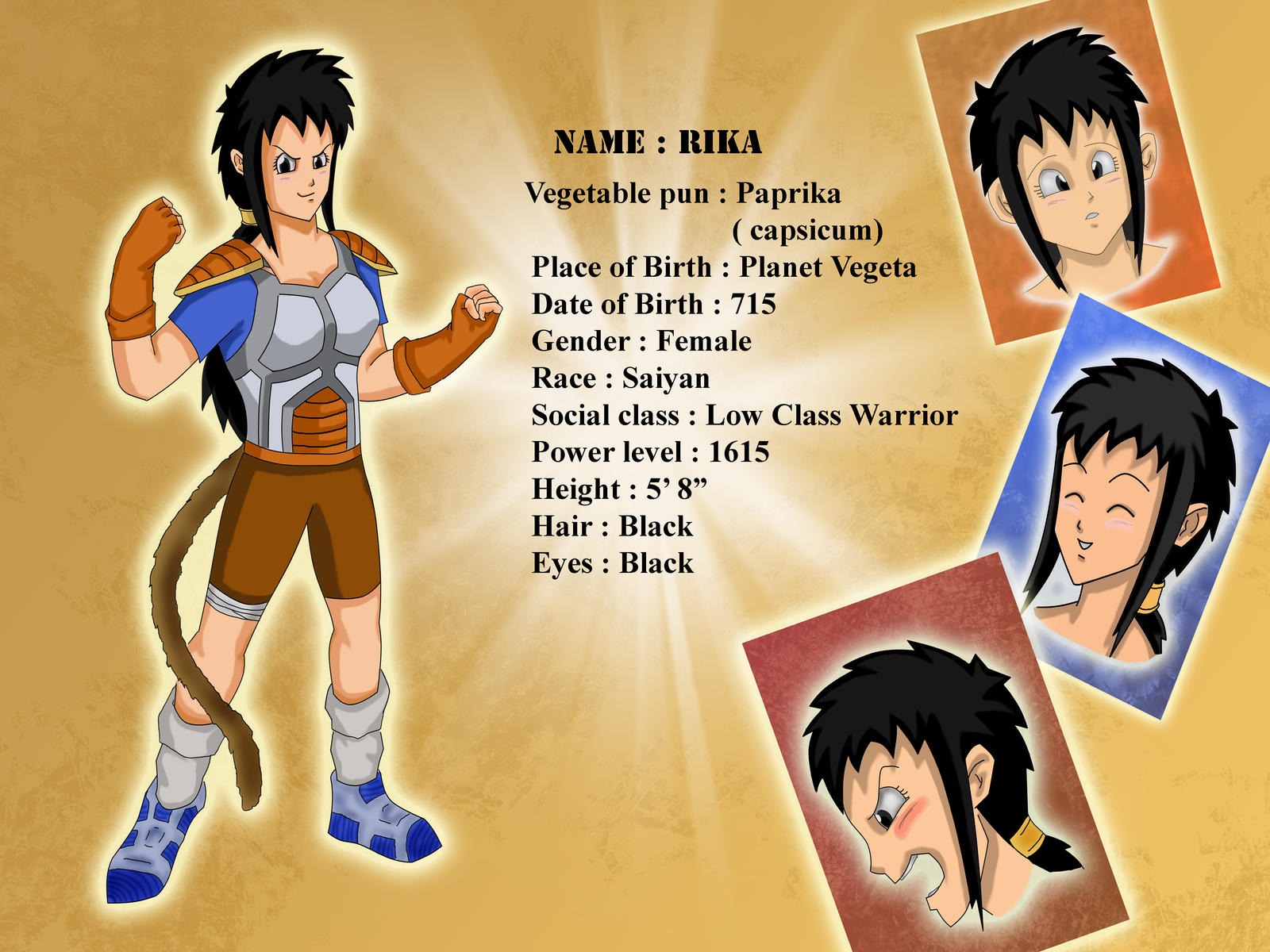 All Rika's Dragon Saiyan Rika : Character Sheet by opalcious on DeviantArt