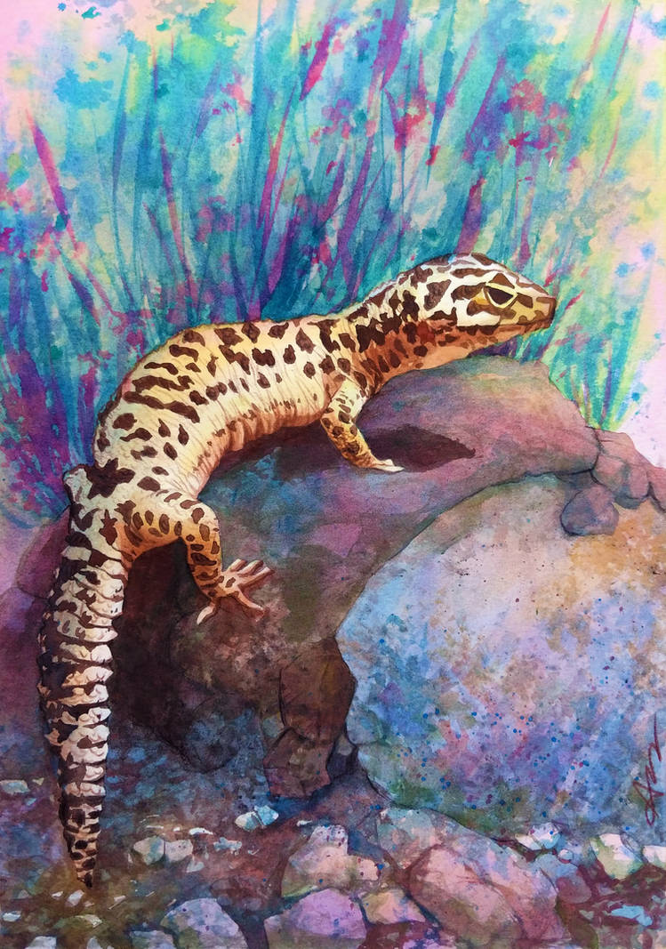 Commission: Skid the Leopard Gecko