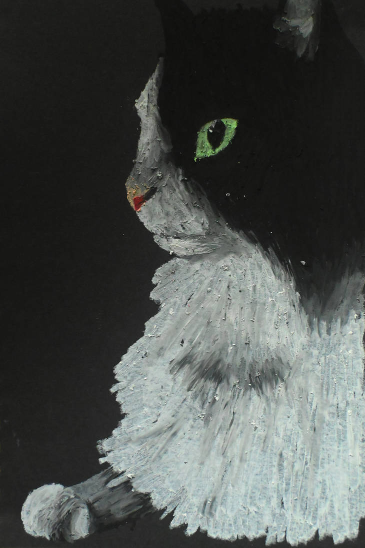 Rascal Cat Model Rascal the cat - oil pastel by ANJHDesigns on DeviantArt