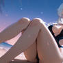 Schnee Raizar