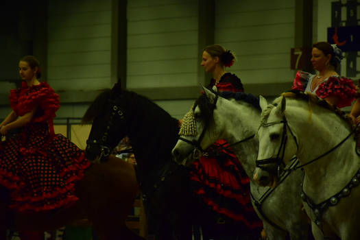 horse show