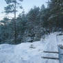 A Snowy Path