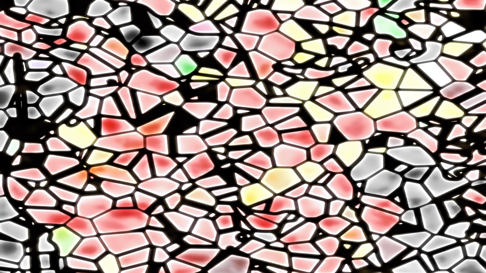 062847596420000418042019.3840x2160.99999