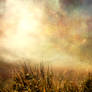 Premade stock 8