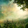Premade stock 9