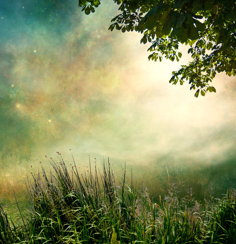 Premade stock 9